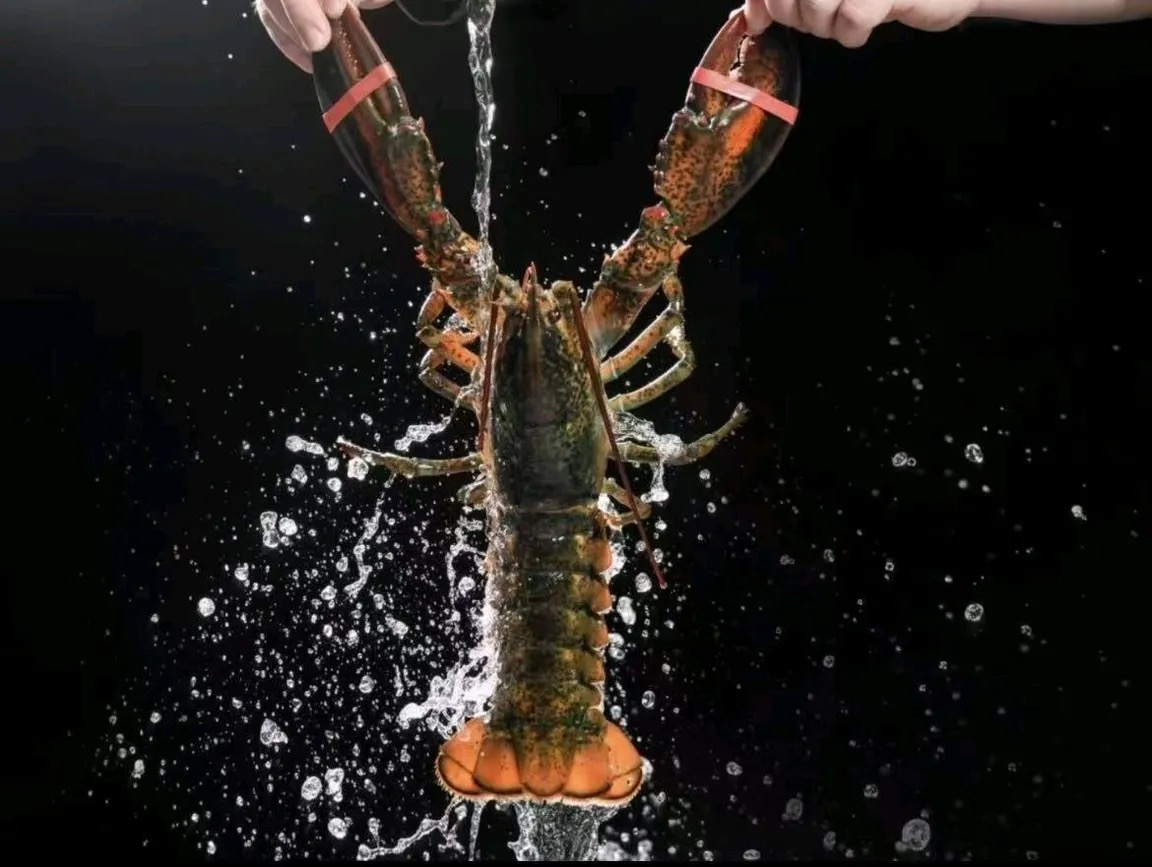 清远海鲜